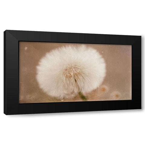 Softie Black Modern Wood Framed Art Print by Stas, Marie-Anne