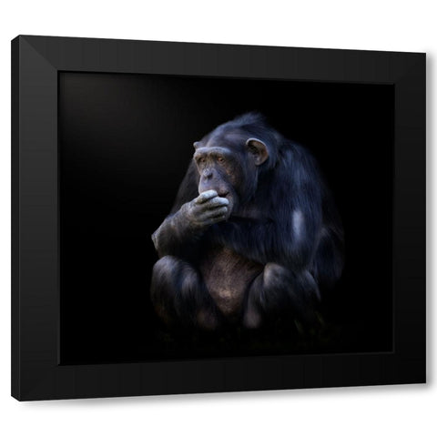 chimpanzee Black Modern Wood Framed Art Print by Garcia, Helena