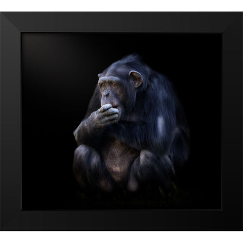chimpanzee Black Modern Wood Framed Art Print by Garcia, Helena