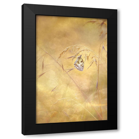 Sprinkle Black Modern Wood Framed Art Print by Van Helden, Elisabeth