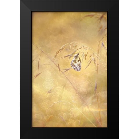 Sprinkle Black Modern Wood Framed Art Print by Van Helden, Elisabeth