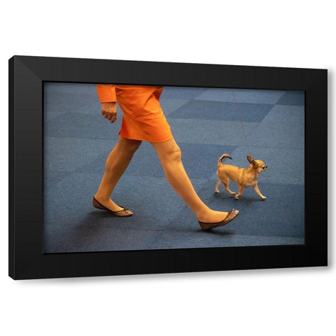 Matching Colours Black Modern Wood Framed Art Print with Double Matting by Joosten, Lus