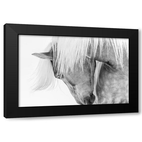 Halflinger Portrait Black Modern Wood Framed Art Print by Kimberly