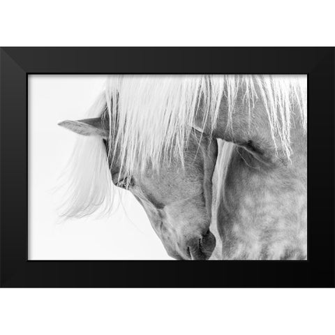 Halflinger Portrait Black Modern Wood Framed Art Print by Kimberly