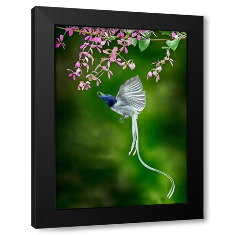 Finally Got It Black Modern Wood Framed Art Print with Double Matting by Muliani Hartojo, Angela