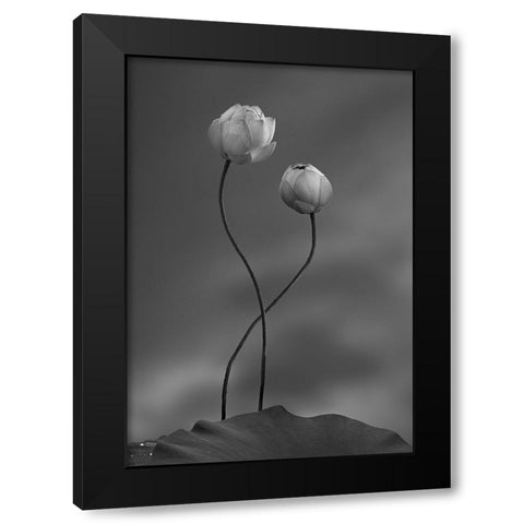 Lotus Black Modern Wood Framed Art Print with Double Matting by Wei, Taiga