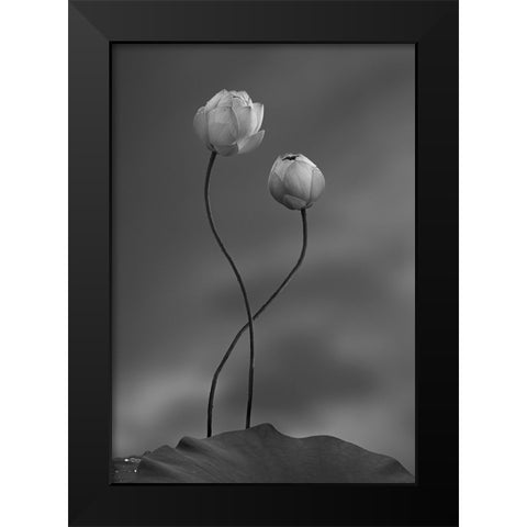 Lotus Black Modern Wood Framed Art Print by Wei, Taiga