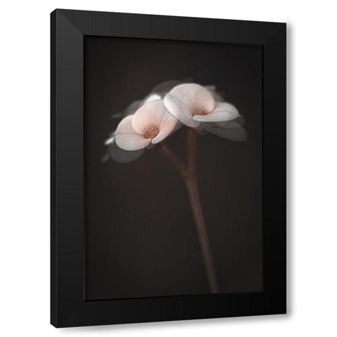 Illusions Black Modern Wood Framed Art Print by Kiral, Cicek