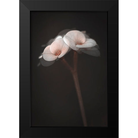 Illusions Black Modern Wood Framed Art Print by Kiral, Cicek