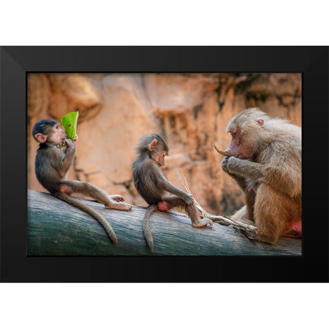 Lesson in the Wild Black Modern Wood Framed Art Print by Ng, Joseph