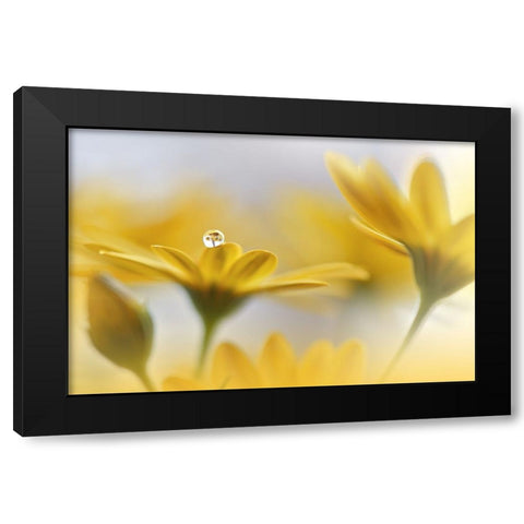 Summer Melody.. Black Modern Wood Framed Art Print by Nan, Juliana