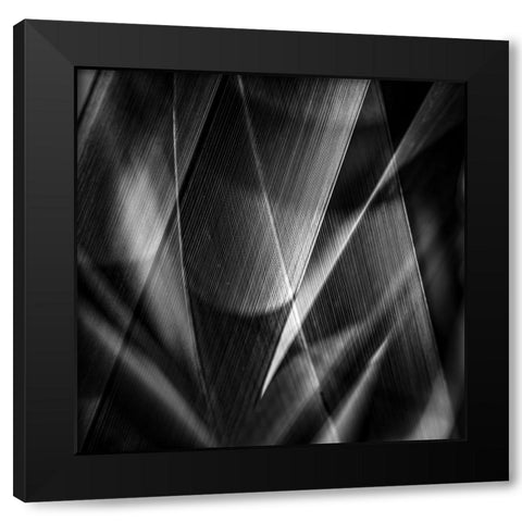 Shadows a edges ab Black Modern Wood Framed Art Print with Double Matting by Ciappara Lrps., Simon