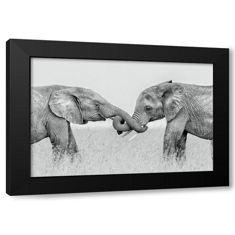 Confrontation Black Modern Wood Framed Art Print with Double Matting by Zuo, Jun