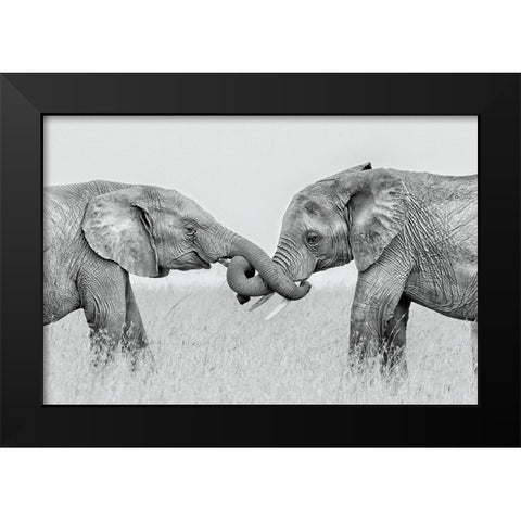 Confrontation Black Modern Wood Framed Art Print by Zuo, Jun