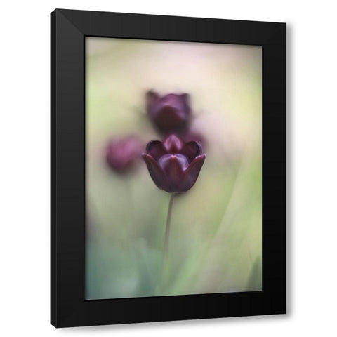 Projectorlens Photo Black Modern Wood Framed Art Print by van marwijk, tonnie