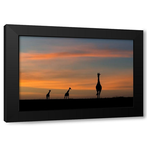 ddidcdsd ddldcdndids dydcdcd d ddcddbdudsd Black Modern Wood Framed Art Print by Sobhi, Ahmed