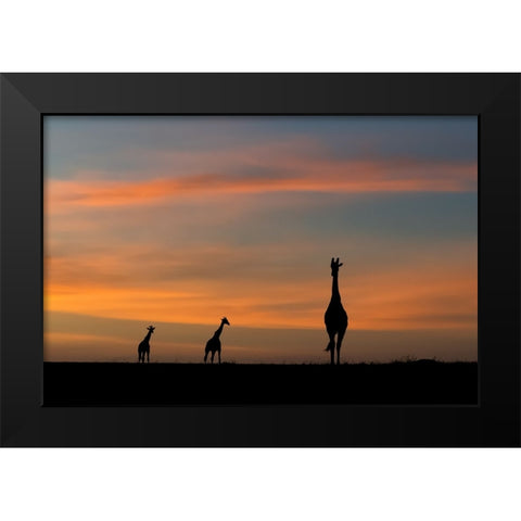 ddidcdsd ddldcdndids dydcdcd d ddcddbdudsd Black Modern Wood Framed Art Print by Sobhi, Ahmed