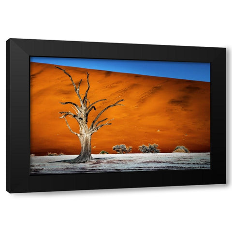 Namibia Black Modern Wood Framed Art Print by Gumerov, Taymuraz