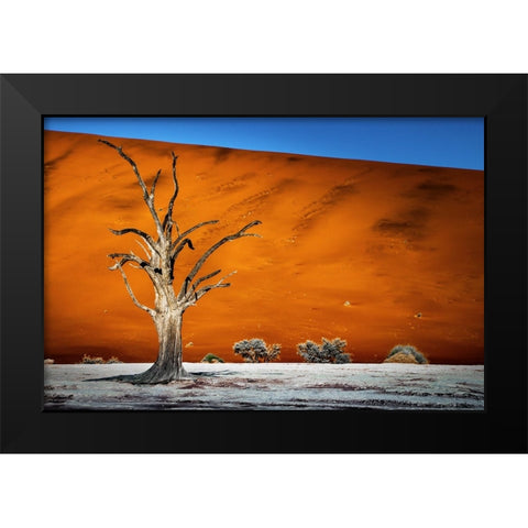 Namibia Black Modern Wood Framed Art Print by Gumerov, Taymuraz