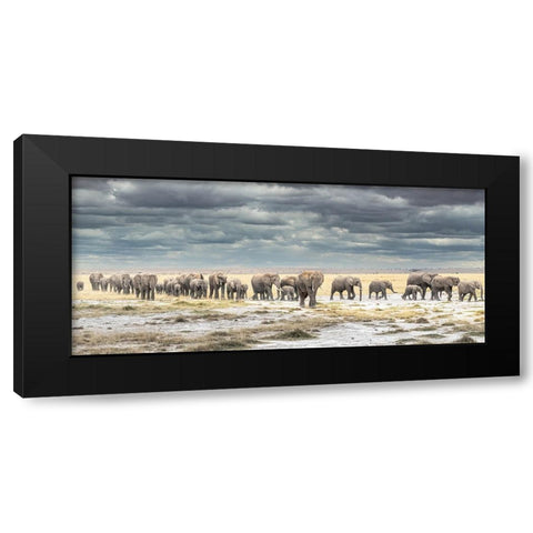 The March for Survival Black Modern Wood Framed Art Print with Double Matting by C. Sink, Jeffrey