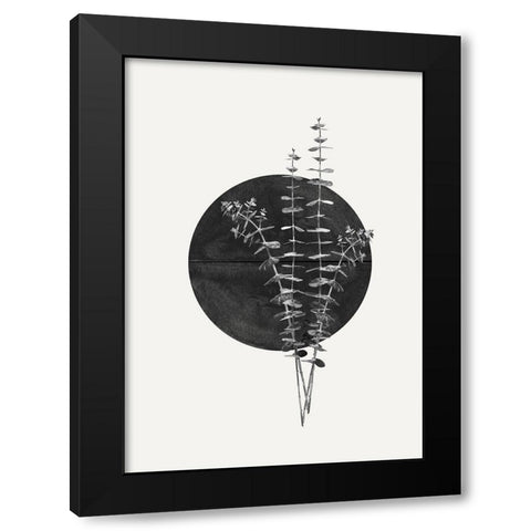 Plant and Black Sun Black Modern Wood Framed Art Print by The Miuus Studio