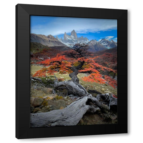 Autum in Fitz Roy Black Modern Wood Framed Art Print with Double Matting by Li, Bing