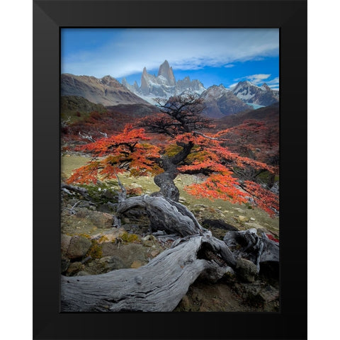 Autum in Fitz Roy Black Modern Wood Framed Art Print by Li, Bing