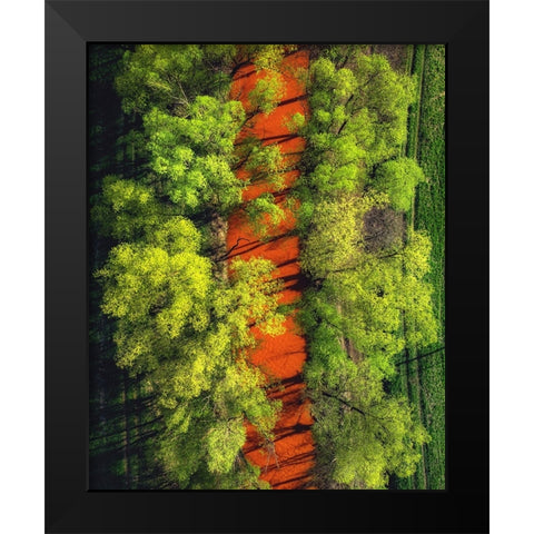 ...Perverted Beauty ... Black Modern Wood Framed Art Print by Gerec, Pali