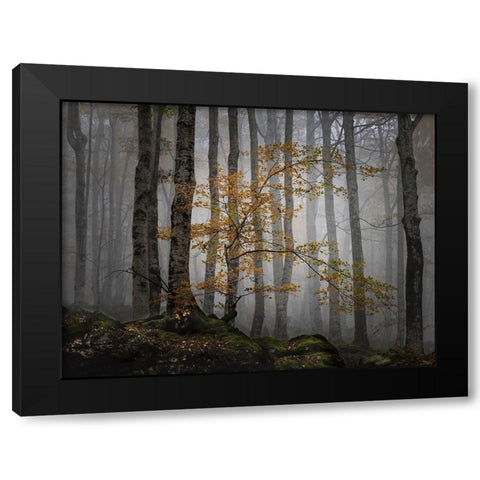 Bosque en la niebla Black Modern Wood Framed Art Print by Ruiz Rivas, Ja