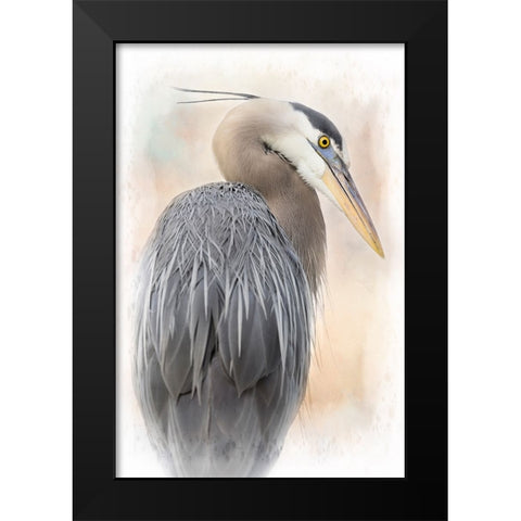 Great Blue Heron Portrait Black Modern Wood Framed Art Print by D Lester, Linda