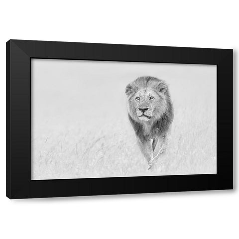 The King of The Prairie Black Modern Wood Framed Art Print with Double Matting by Zuo, Jun