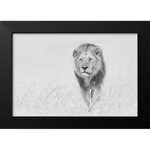 The King of The Prairie Black Modern Wood Framed Art Print by Zuo, Jun