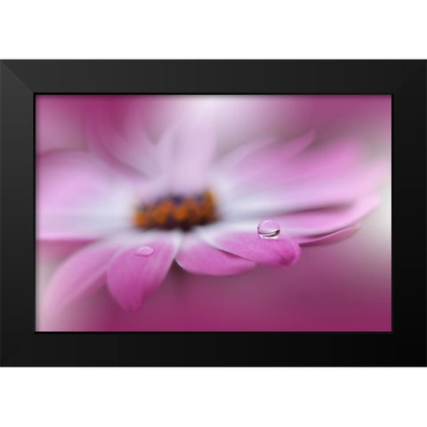 Celebration Of Life.. Black Modern Wood Framed Art Print by Nan, Juliana