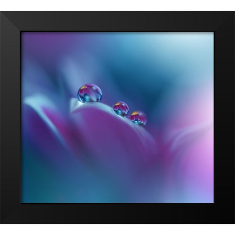 Memories Of Sea..III Black Modern Wood Framed Art Print by Nan, Juliana