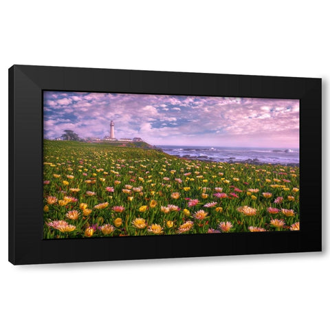 Lighthouse of Succulence Black Modern Wood Framed Art Print with Double Matting by Li, Sophia