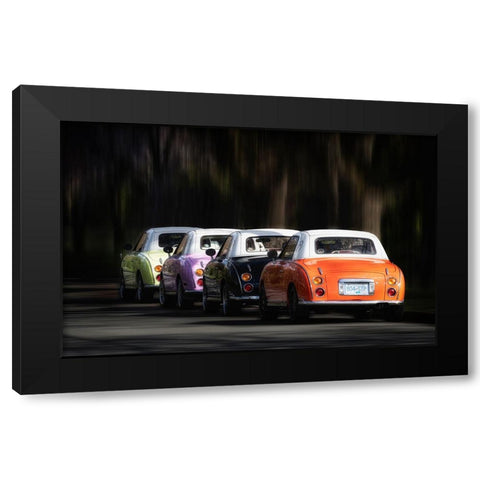 Colourful Spring Black Modern Wood Framed Art Print with Double Matting by Gu, Cher