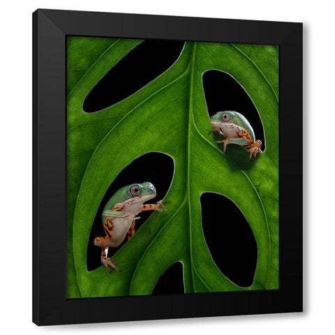 Hang out Black Modern Wood Framed Art Print with Double Matting by Tantoyensen