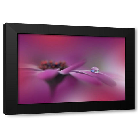 Celebration Of Life.. Black Modern Wood Framed Art Print by Nan, Juliana