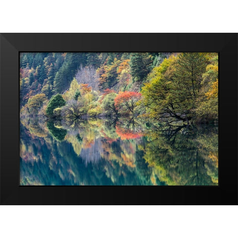 Double fall Black Modern Wood Framed Art Print by Berkovits, Dorit