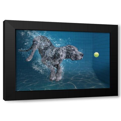 Splashdog Black Modern Wood Framed Art Print by Egger, Marcel