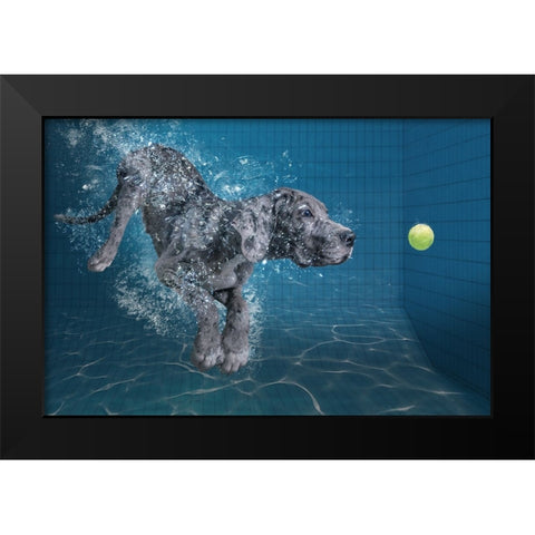 Splashdog Black Modern Wood Framed Art Print by Egger, Marcel