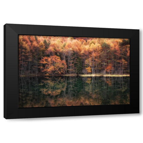 Beautiful reflection in Autumn Black Modern Wood Framed Art Print with Double Matting by Suzuki, Daiki