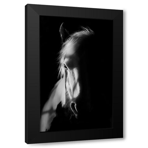 Catching Light Black Modern Wood Framed Art Print with Double Matting by Wilson, Francis