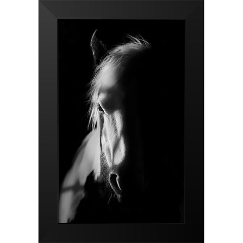 Catching Light Black Modern Wood Framed Art Print by Wilson, Francis