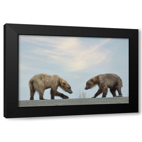 On Their Own Black Modern Wood Framed Art Print by D Lester, Linda