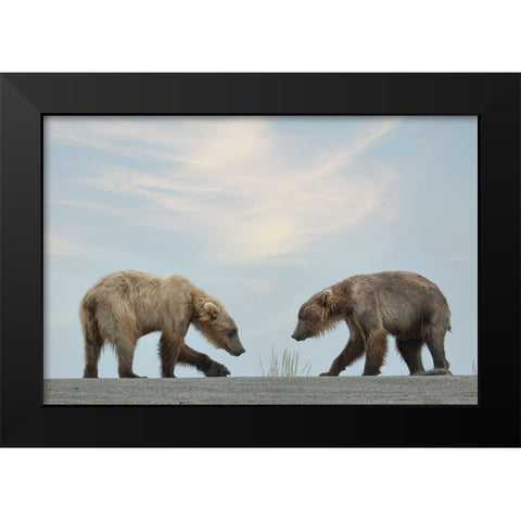 On Their Own Black Modern Wood Framed Art Print by D Lester, Linda