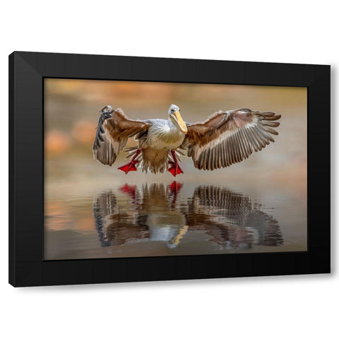 Touching the water Black Modern Wood Framed Art Print with Double Matting by Zvelebil PhD, Marketa
