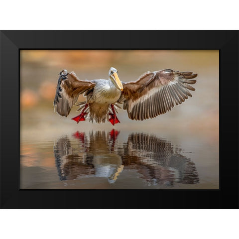 Touching the water Black Modern Wood Framed Art Print by Zvelebil PhD, Marketa