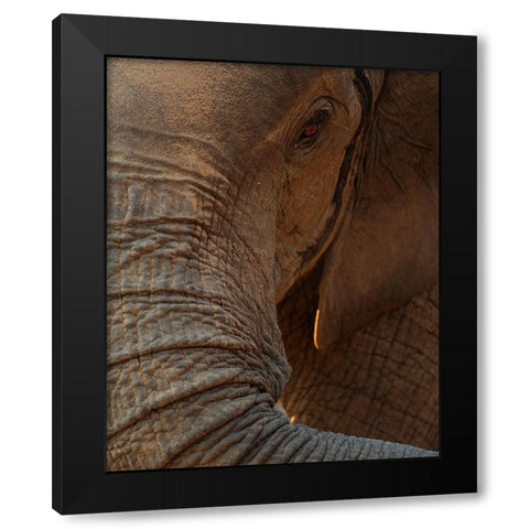 the eye Black Modern Wood Framed Art Print by Baekelandt, Luc