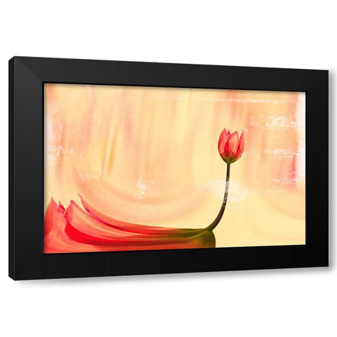 dancer Black Modern Wood Framed Art Print with Double Matting by Ignatova, Desislava